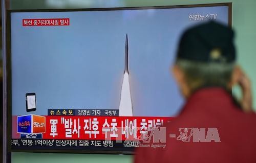 Südkoreas Armee kämpft gegen Atom- und Raketendrohungen aus Nordkorea - ảnh 1